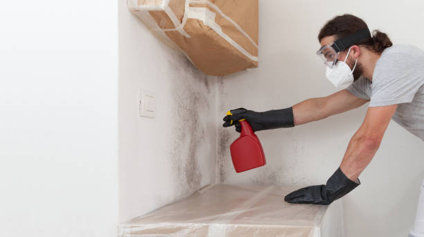 Professional Mold Remediation technician working in Saddle Brook, NJ